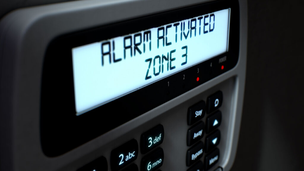 different types of alarm security system